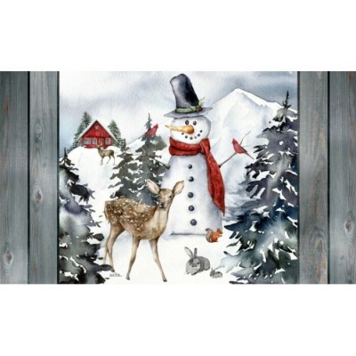 Tapis intérieur extérieur/ Bonhomme au chalet ...