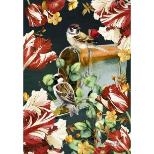 Tulipes couleurs Chatoyantes 