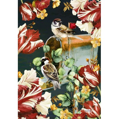 Tulipes couleurs Chatoyantes 