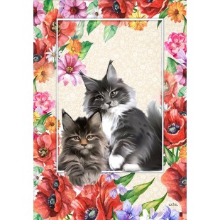 Les chats gris