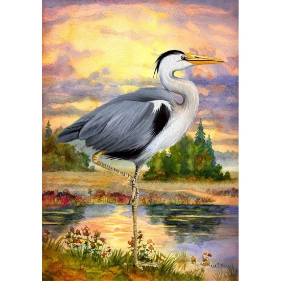 Heron 
