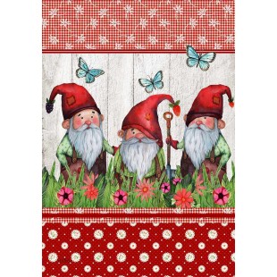 Gnomes 