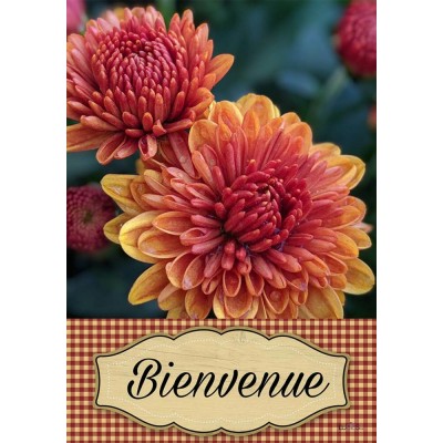 Fleurs bienvenue 