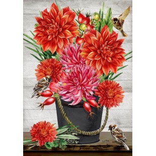 Dahlia