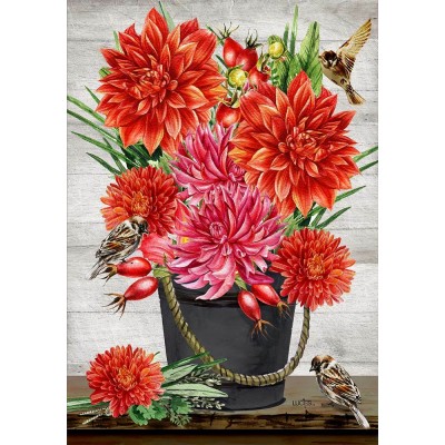 Dahlia