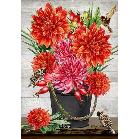 Dahlia