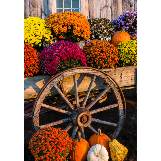 Chariot de  fleurs