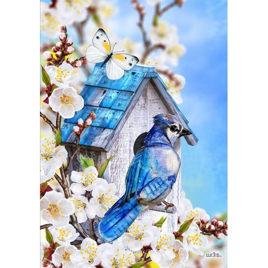 Cabane geai bleu 