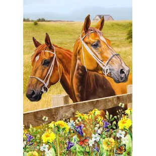 2 Chevaux 