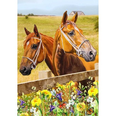 2 Chevaux 