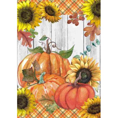 Citrouilles et Tournesols