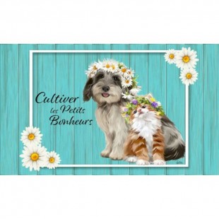Tapis décoratifs 30