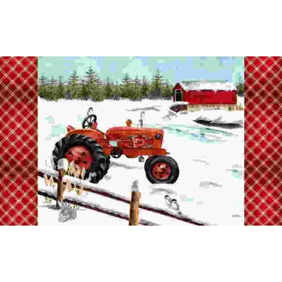 Tapis décoratifs 30