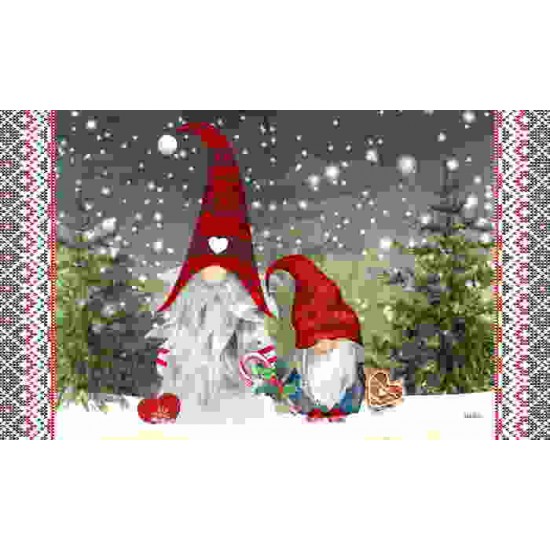 Tapis intérieur extérieur/ Les gnomes  30