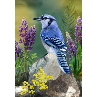 L'oiseau sur le rocher