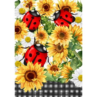 Les coccinelles