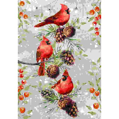 Les cardinals et les cocottes