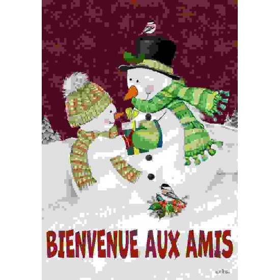 Bienvenue aux amis