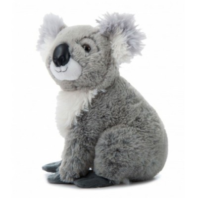 Peluche Koala