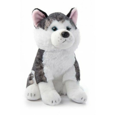 Peluche Chien Husky
