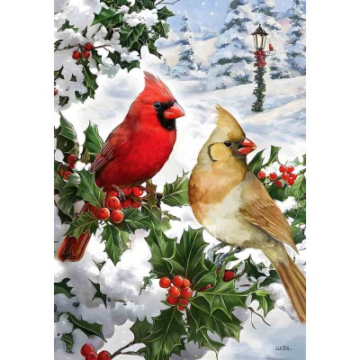 Couple de Cardinaux Couple de Cardinaux