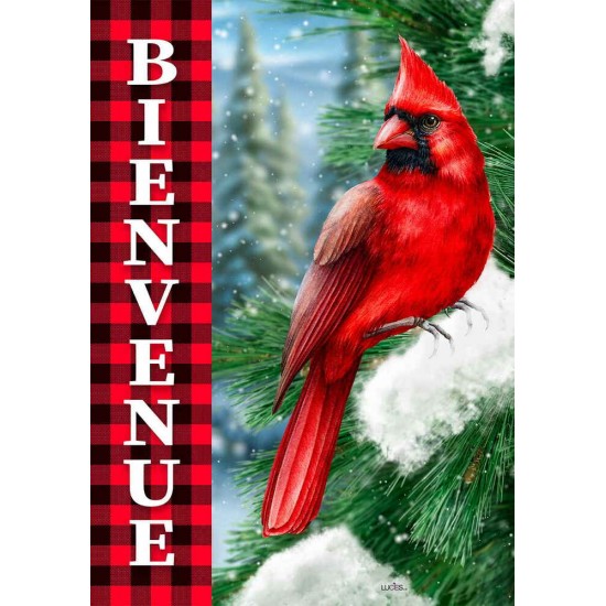 Bienvenue Cardinals Rouges