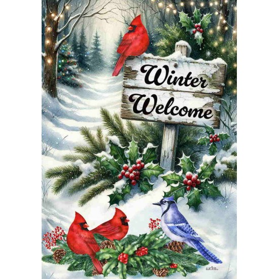 Winter Welcome-Festive Birds Winter Welcome-Festive Birds