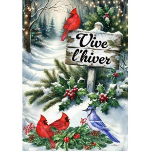 Vive l'hiver- Les oiseaux festifs