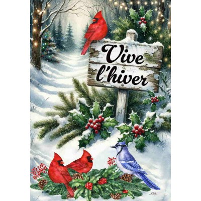 Vive l'hiver- Les oiseaux festifs Vive l'hiver- Les oiseaux festifs