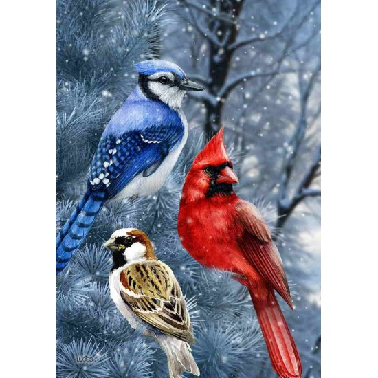 Oiseaux en hiver Oiseaux en hiver