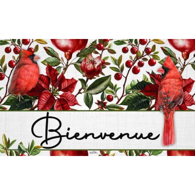 Bienvenue Les cardinals 