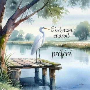 C'est mon endroit préféré