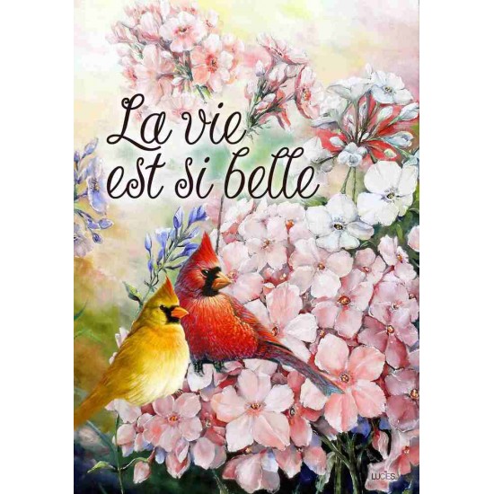 La vie est si belle