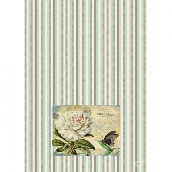 Linge à Vaisselle  100 % Cotton  Pivoine