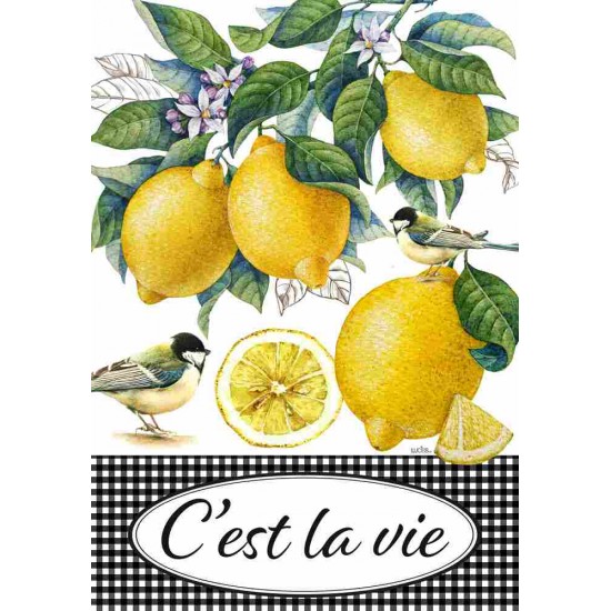 Citrus Lemon