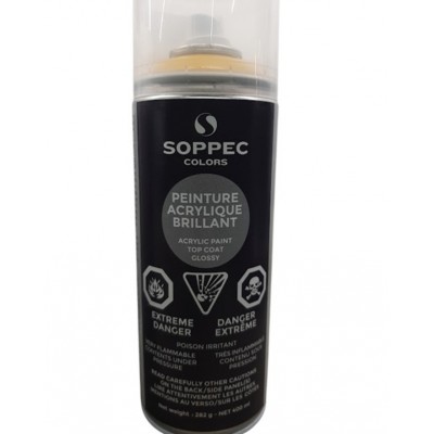 Peinture acrylique brillant Soppec color
