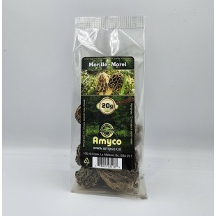 Champignons Morilles 