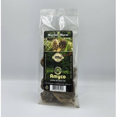 Champignons Morilles 