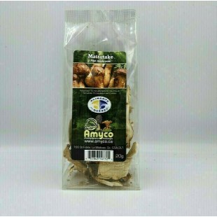  Champignons Shiitake