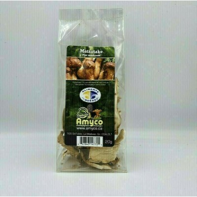  Champignons Shiitake