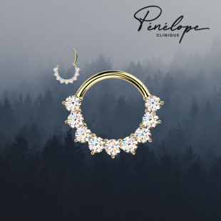 MAJESTY - Anneau en Titane Implant Doré 24 kt...