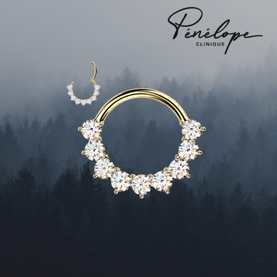 MAJESTY - Anneau en Titane Implant Doré 24 kt...