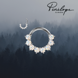 MAJESTY - Anneau de Piercing Argent en Titane Pur...