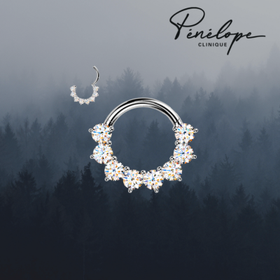 MAJESTY - Anneau de Piercing Argent en Titane Pur...